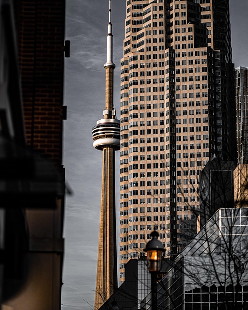 EduAI Canada team members collaborating in a modern office in Toronto
